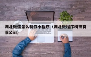 赵县湖北微信怎么制作小程序（湖北微程序科技有限公司）